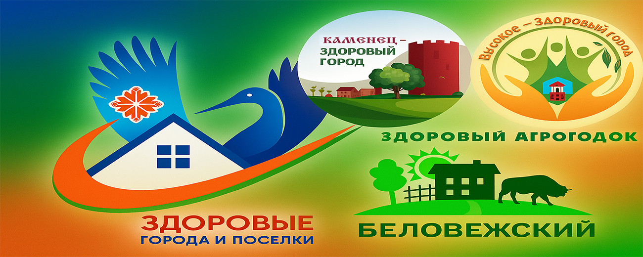 Проект “Здоровые города и поселки”
